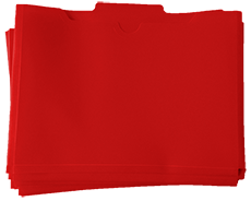 Learn more aboutLLI Red Lesson Folders (10 pack)